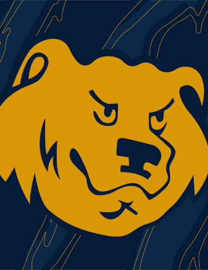 Bear head logo