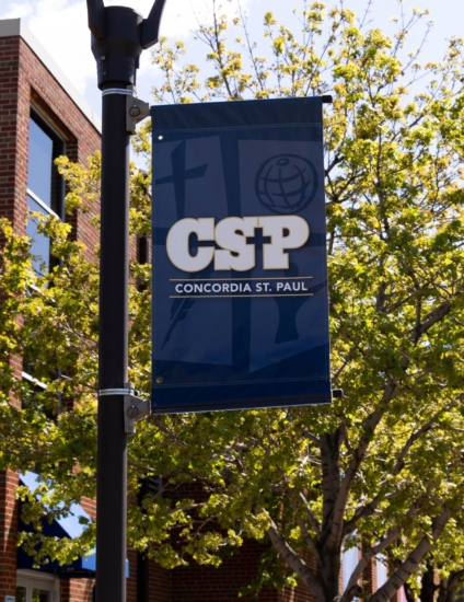 Blue CSP logo flag attached to a black light pole in front of a leafy green tree.
